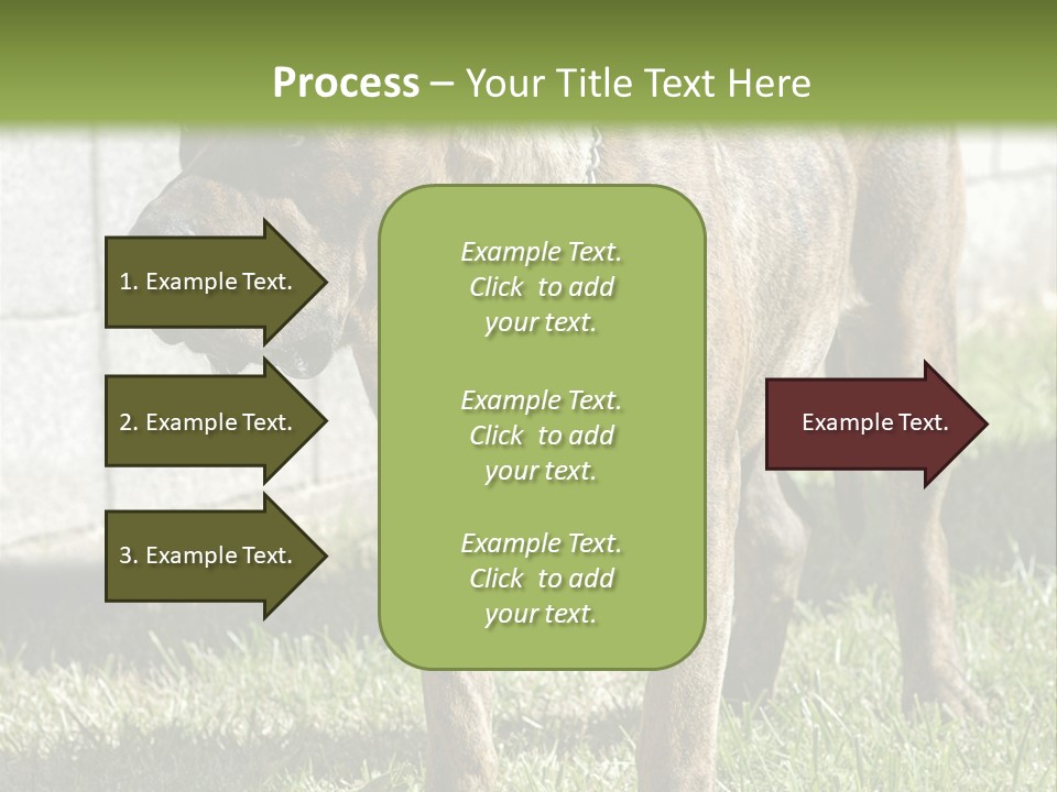 Made Residential Grass PowerPoint Template