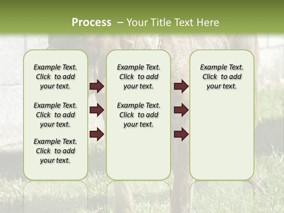 Made Residential Grass PowerPoint Template