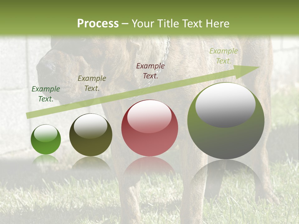 Made Residential Grass PowerPoint Template