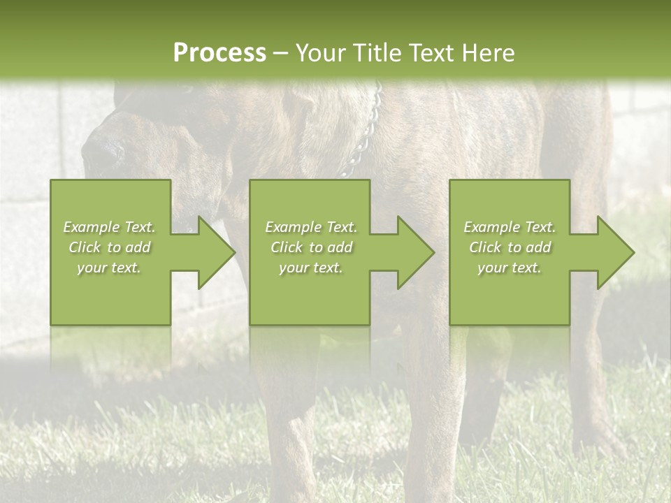 Made Residential Grass PowerPoint Template