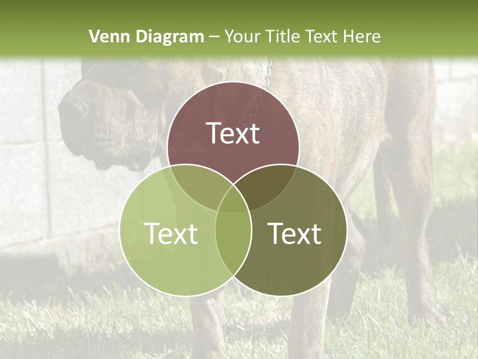 Made Residential Grass PowerPoint Template