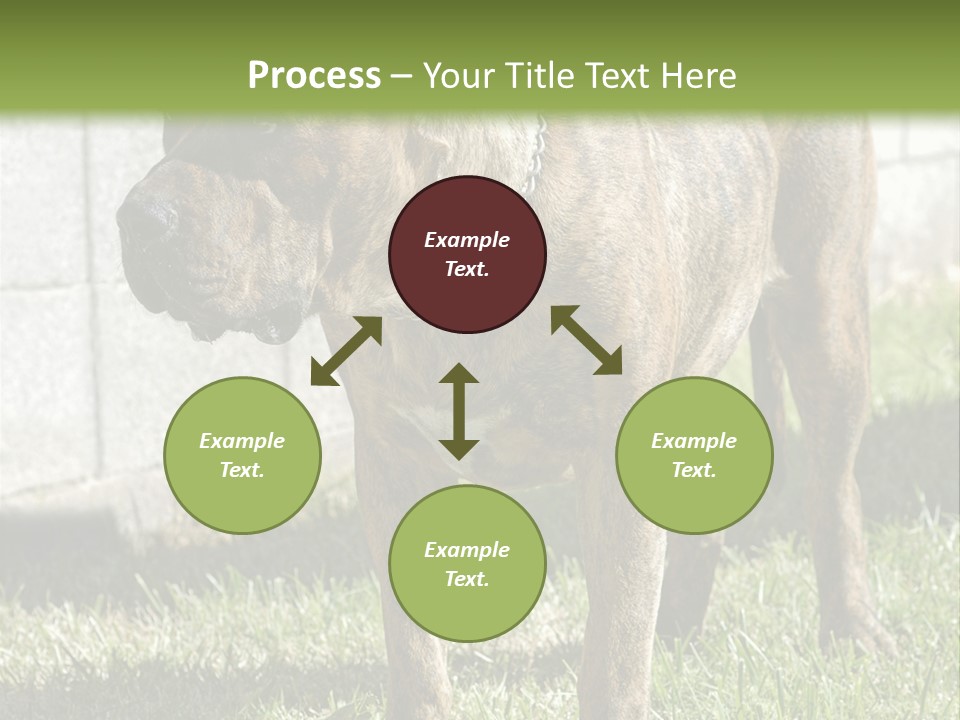 Made Residential Grass PowerPoint Template