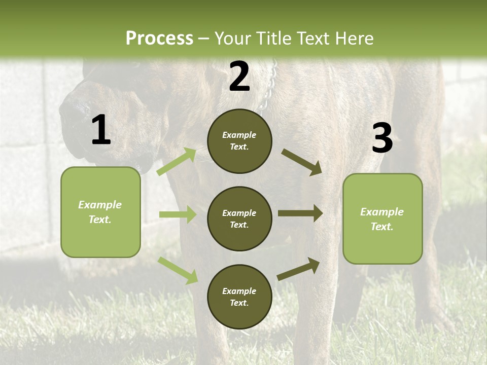 Made Residential Grass PowerPoint Template