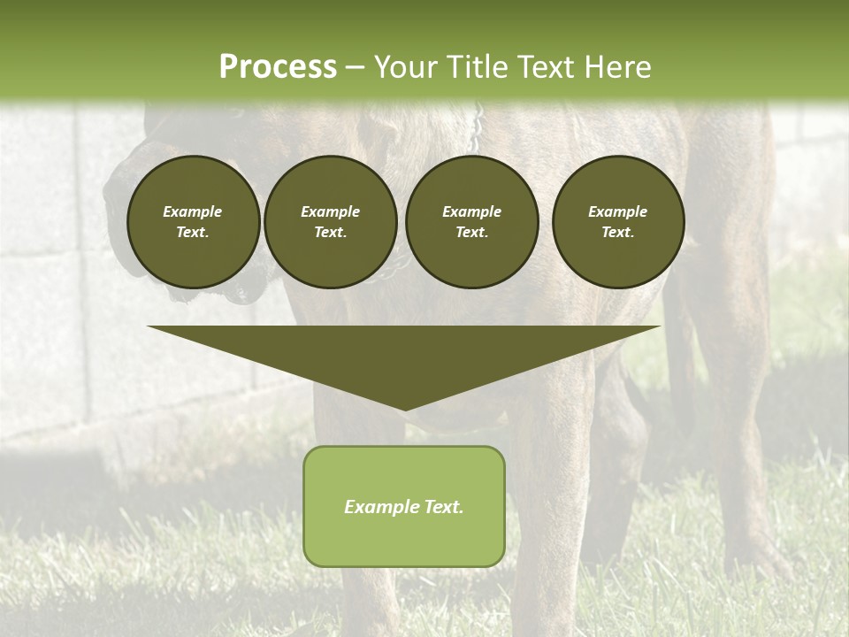 Made Residential Grass PowerPoint Template