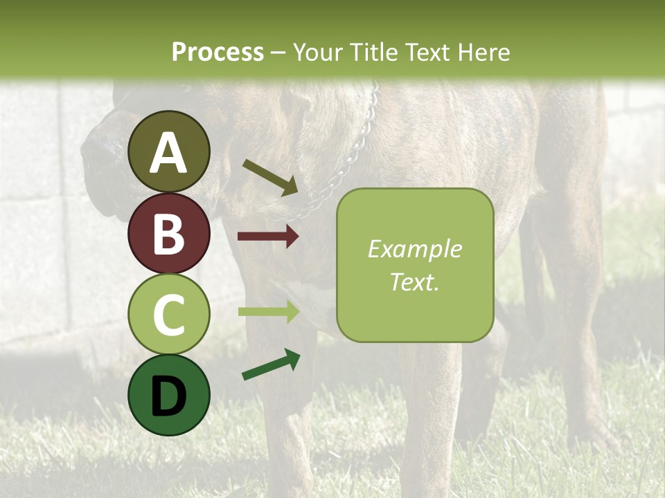 Made Residential Grass PowerPoint Template