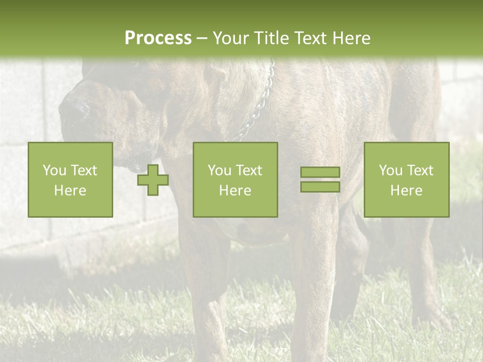 Made Residential Grass PowerPoint Template