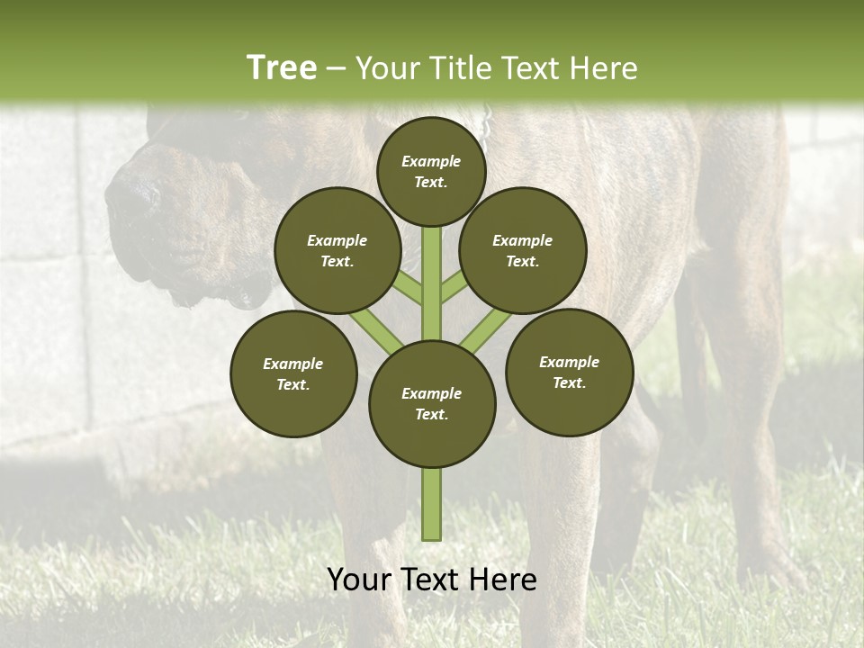 Made Residential Grass PowerPoint Template