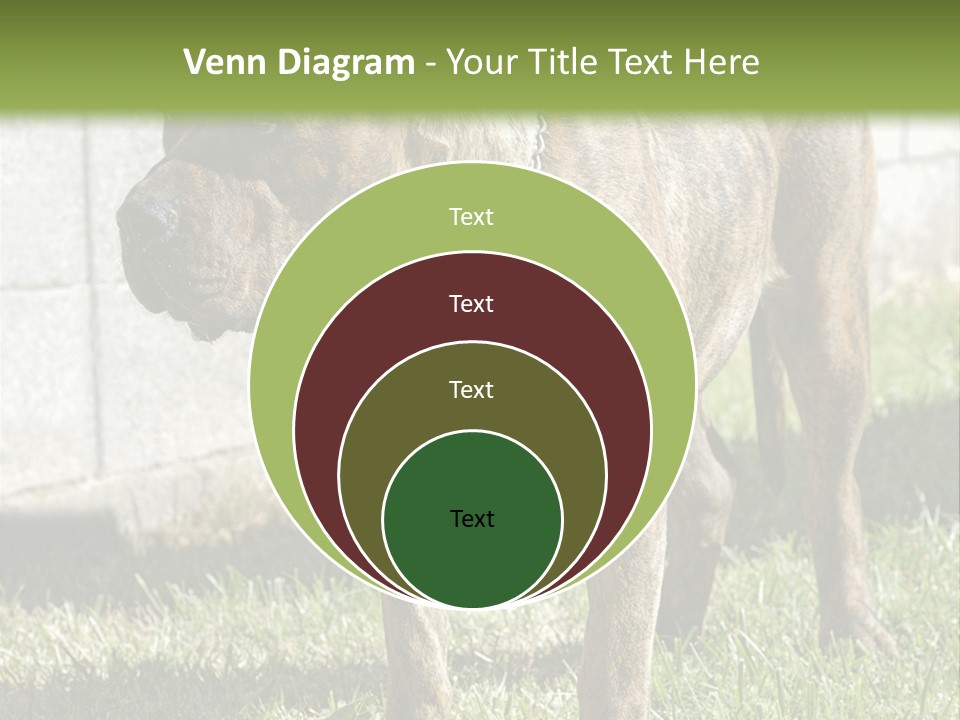 Made Residential Grass PowerPoint Template