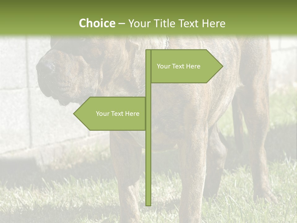 Made Residential Grass PowerPoint Template