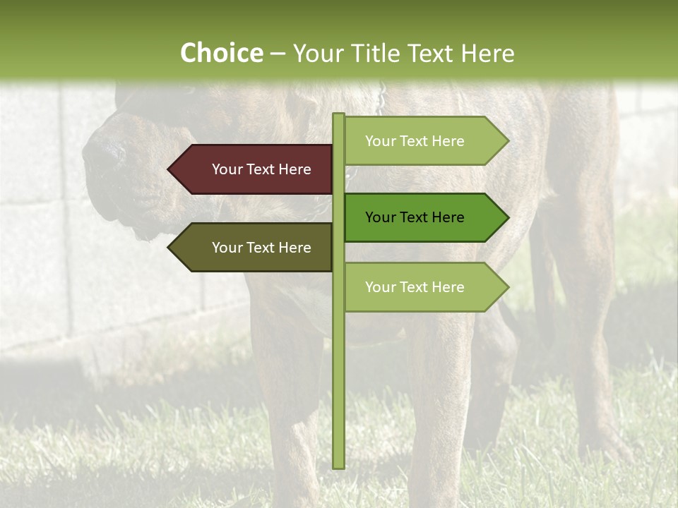 Made Residential Grass PowerPoint Template