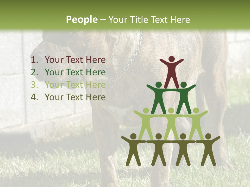 Made Residential Grass PowerPoint Template