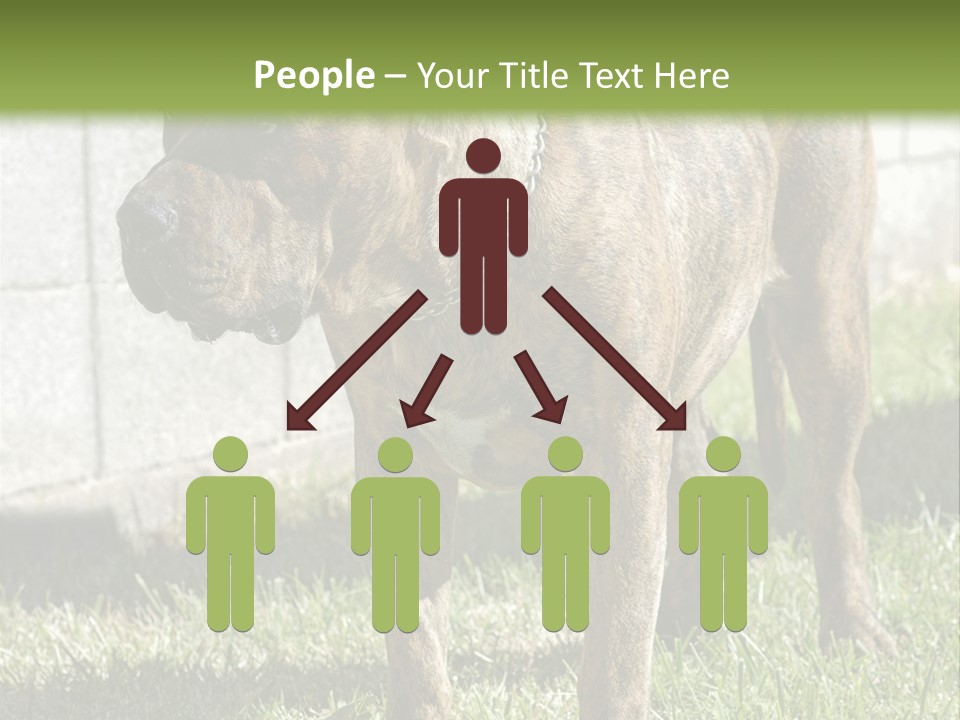 Made Residential Grass PowerPoint Template