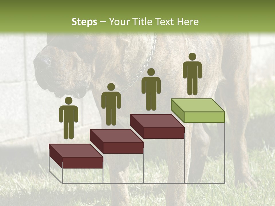 Made Residential Grass PowerPoint Template