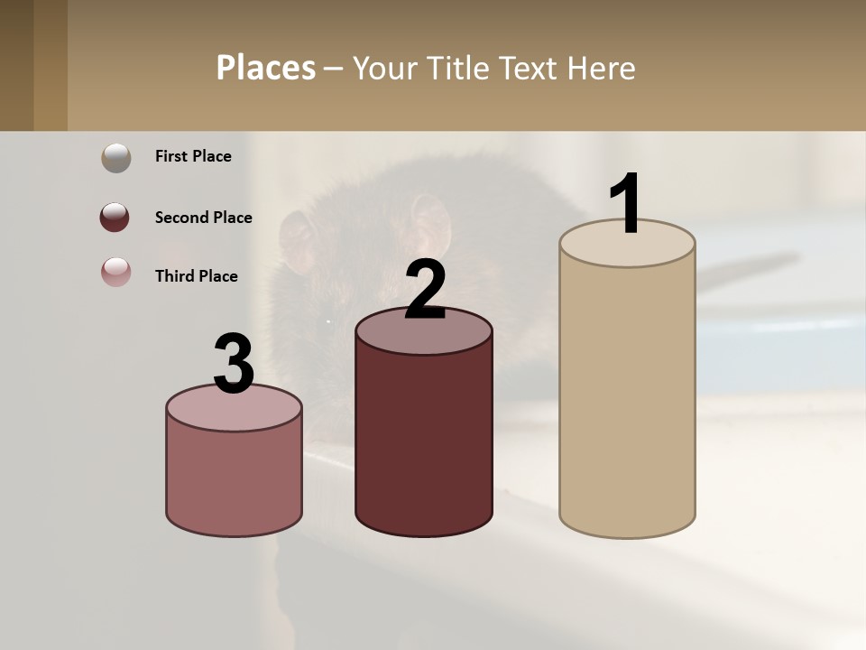 Small Man Park PowerPoint Template