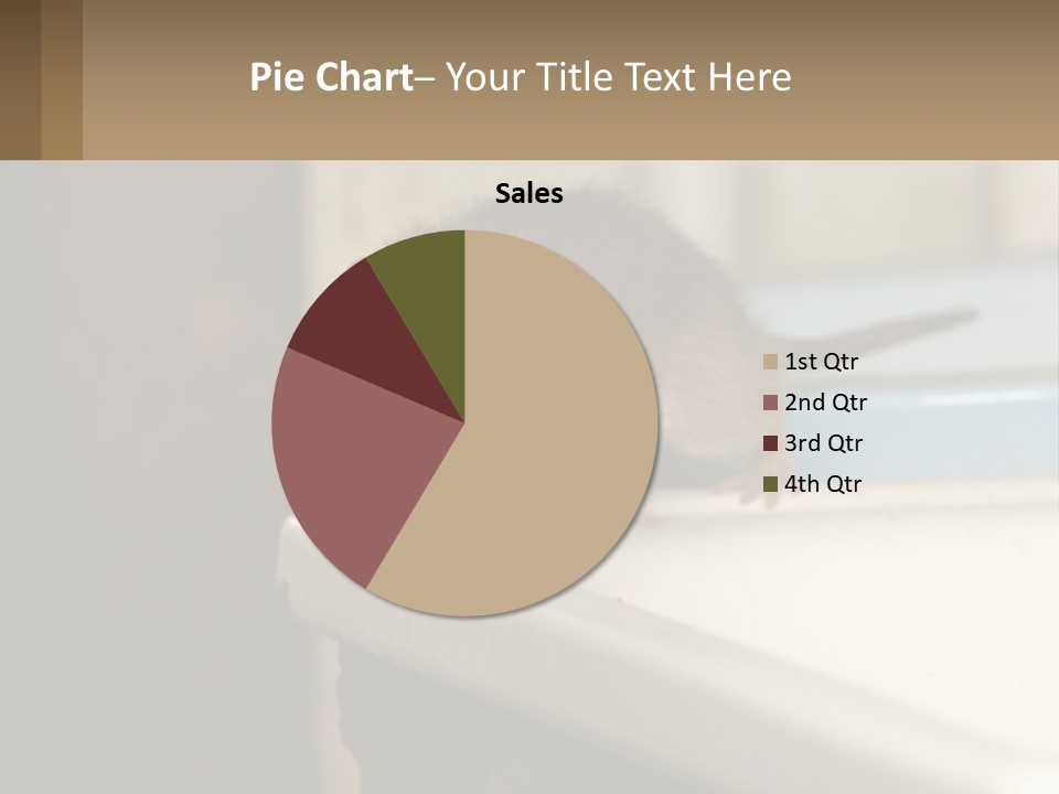 Small Man Park PowerPoint Template