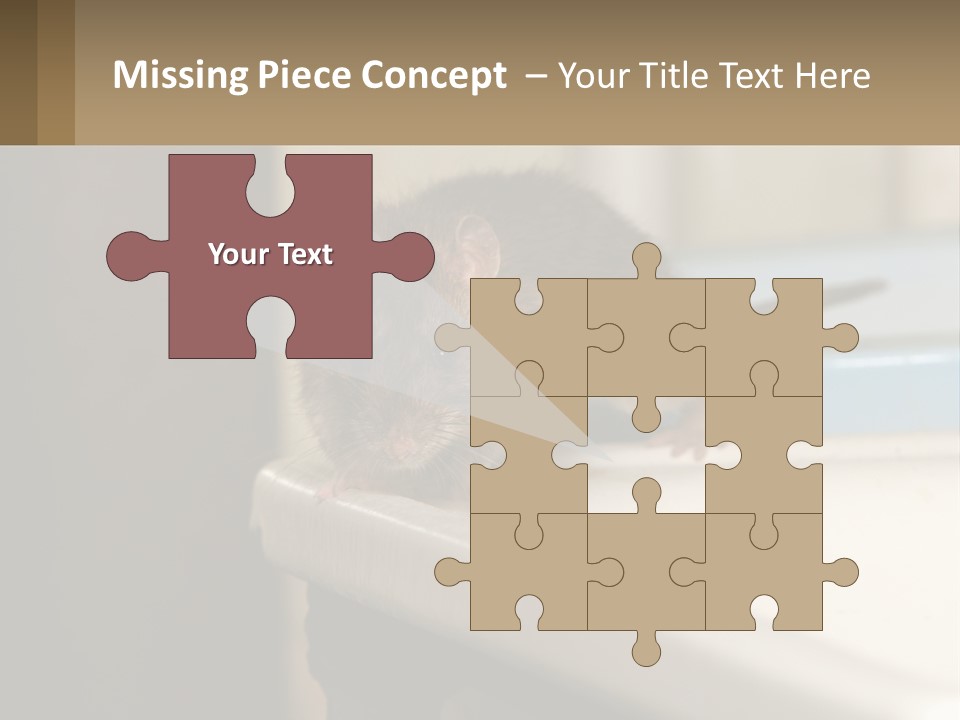 Small Man Park PowerPoint Template