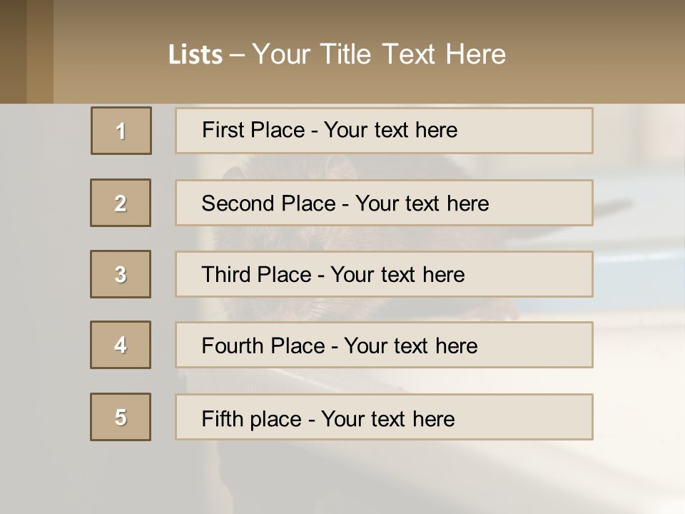 Small Man Park PowerPoint Template