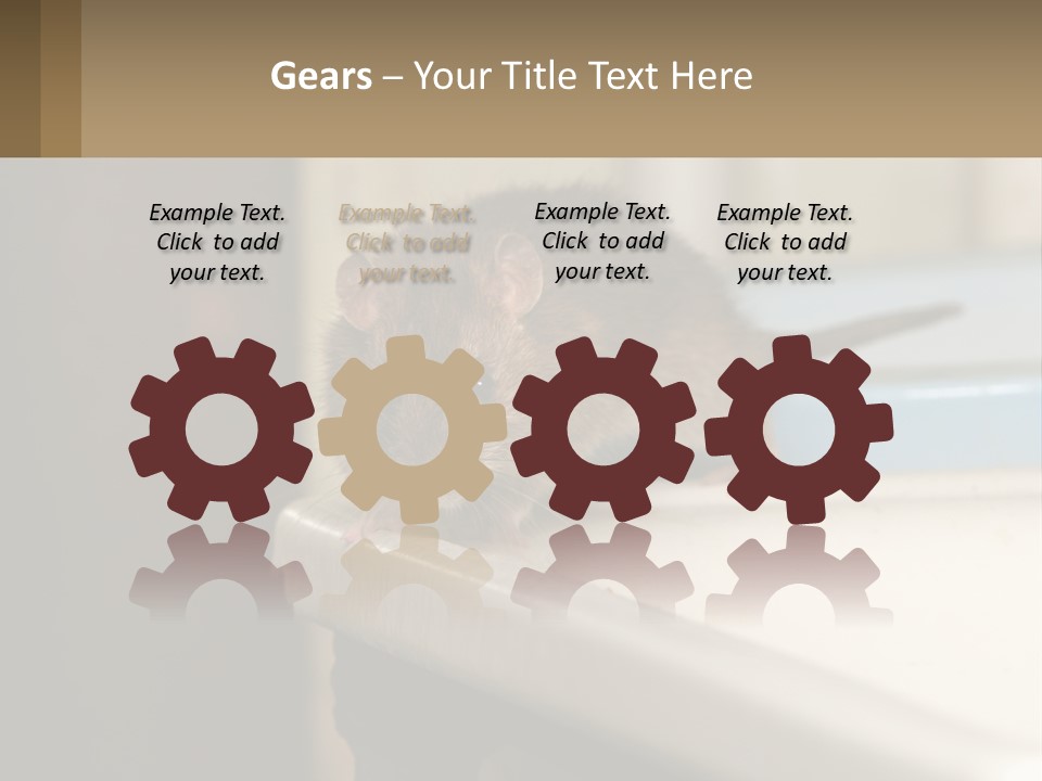 Small Man Park PowerPoint Template