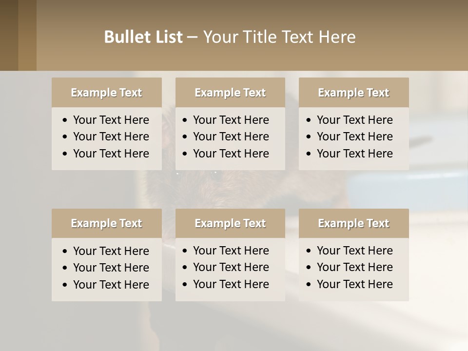 Small Man Park PowerPoint Template