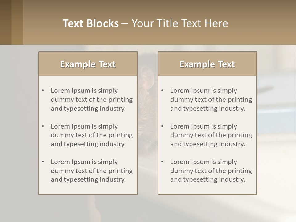 Small Man Park PowerPoint Template