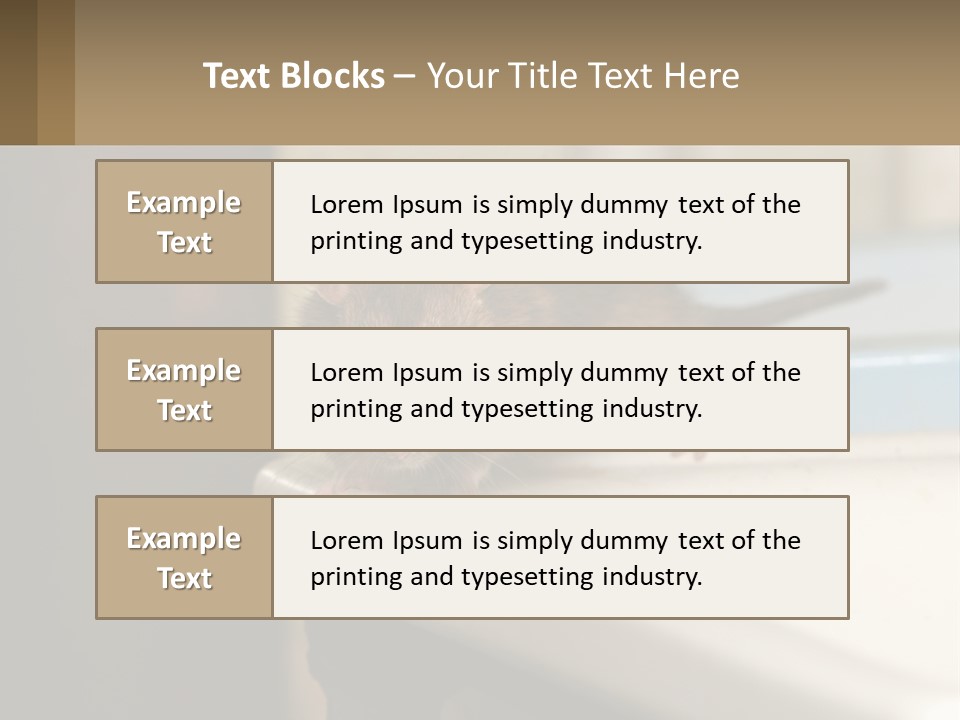 Small Man Park PowerPoint Template