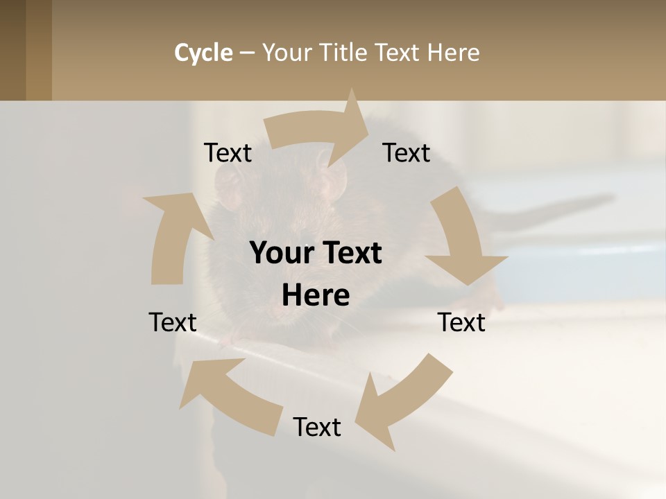 Small Man Park PowerPoint Template