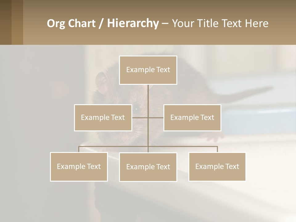 Small Man Park PowerPoint Template