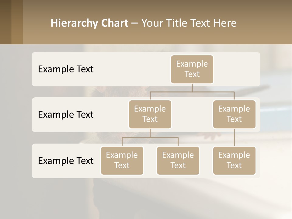 Small Man Park PowerPoint Template