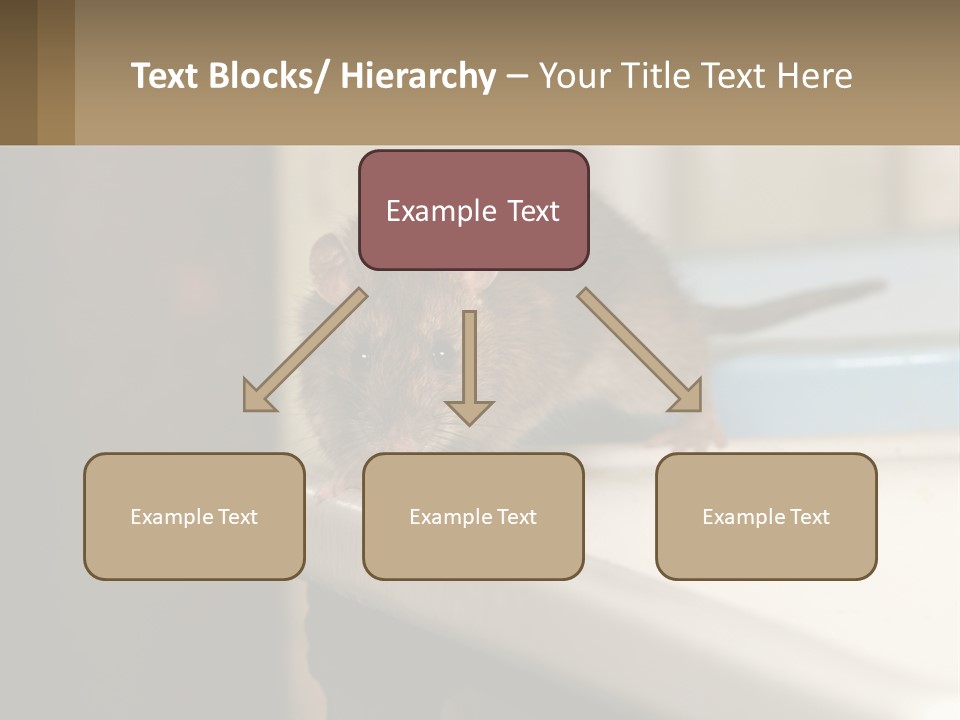 Small Man Park PowerPoint Template