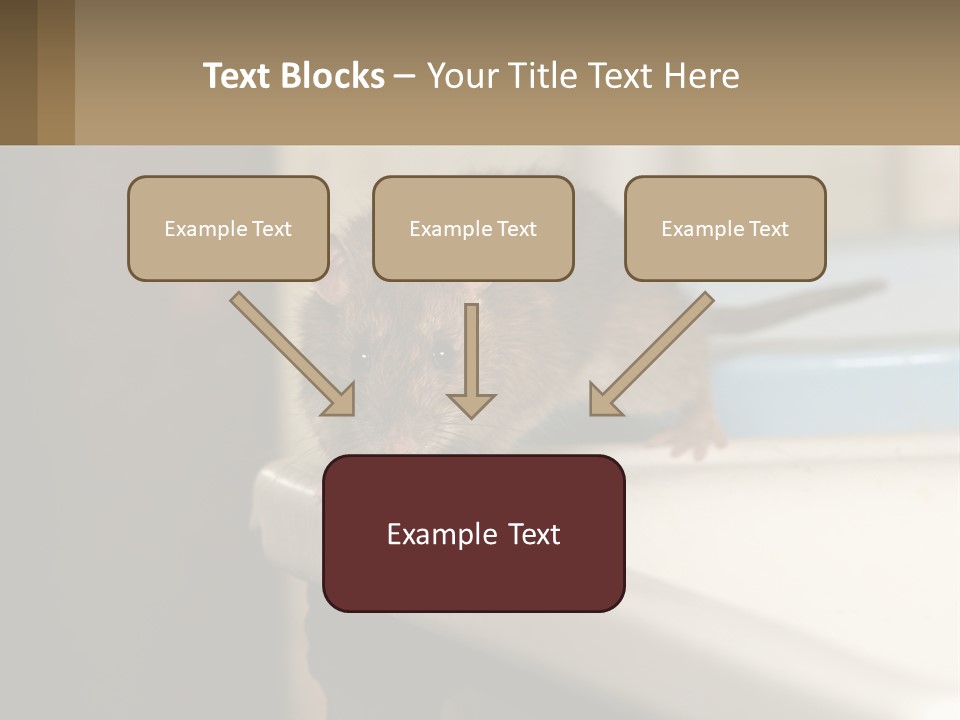 Small Man Park PowerPoint Template