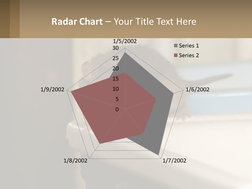 Small Man Park PowerPoint Template