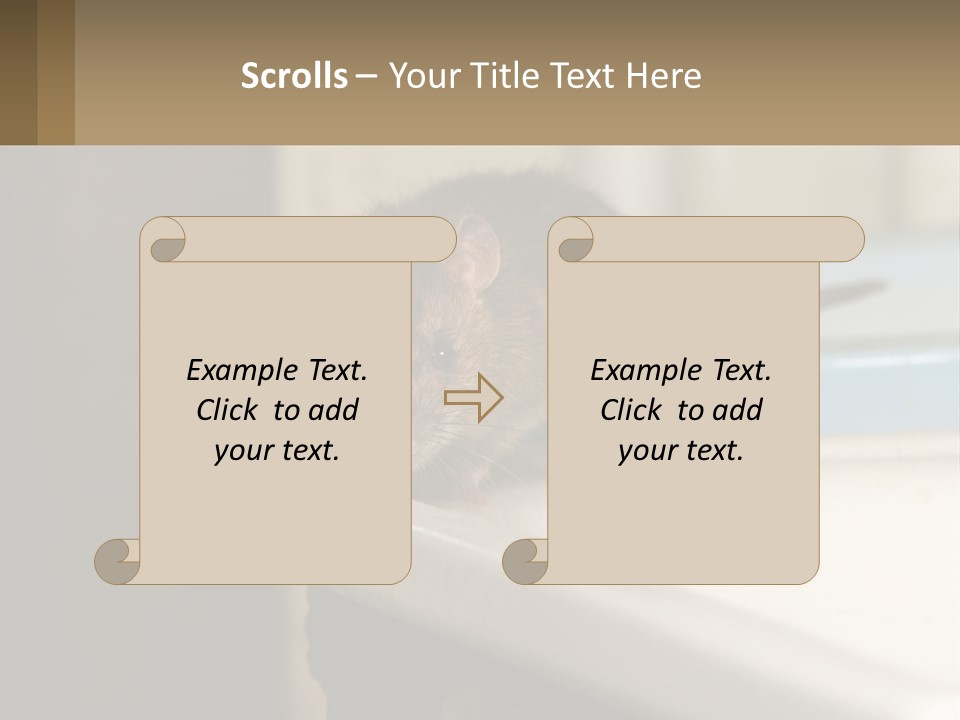Small Man Park PowerPoint Template
