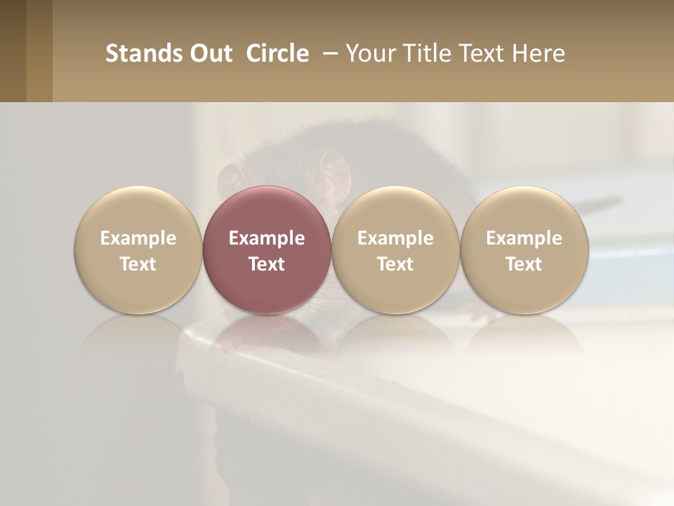 Small Man Park PowerPoint Template