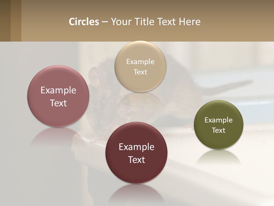 Small Man Park PowerPoint Template