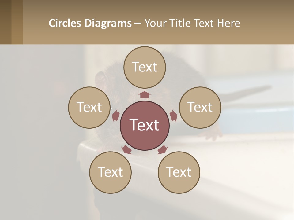 Small Man Park PowerPoint Template