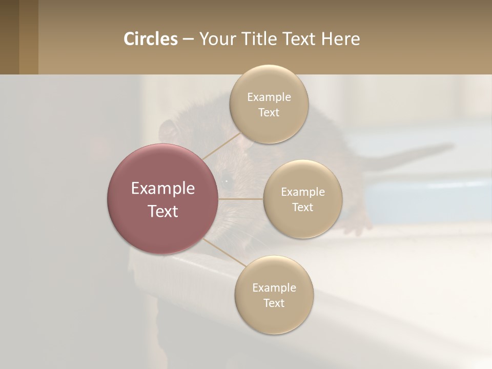 Small Man Park PowerPoint Template