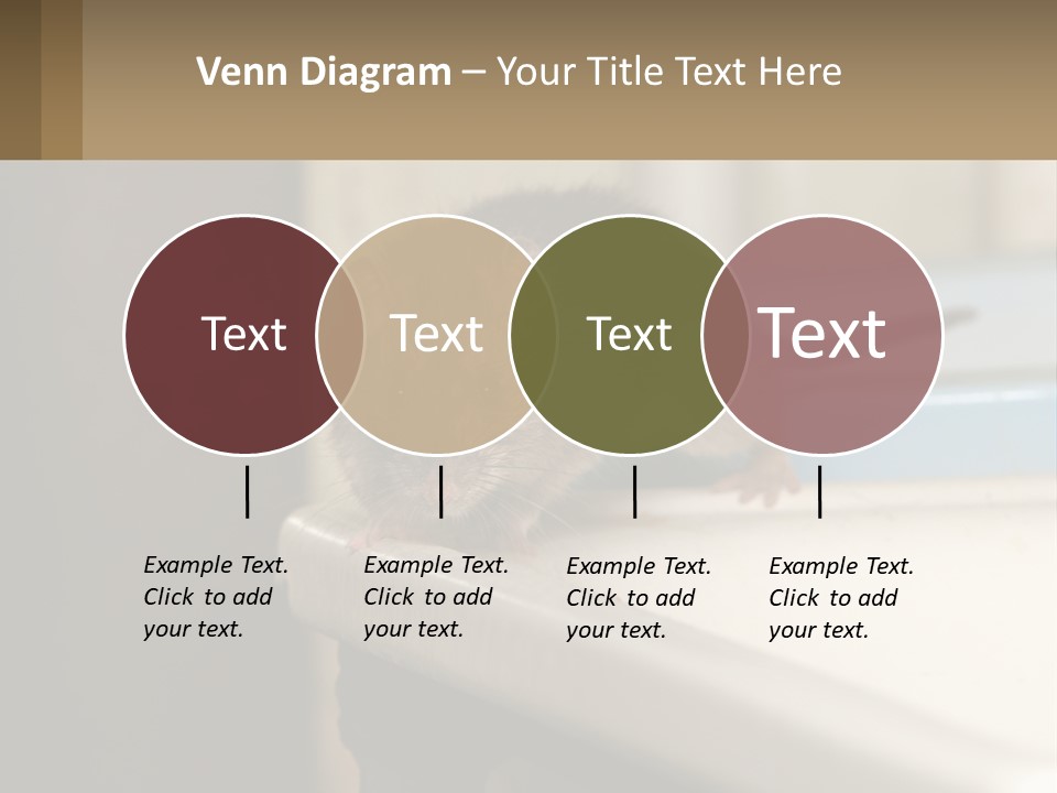 Small Man Park PowerPoint Template