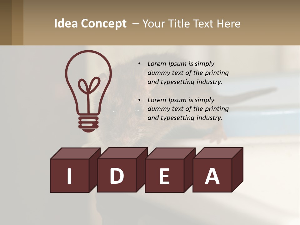 Small Man Park PowerPoint Template