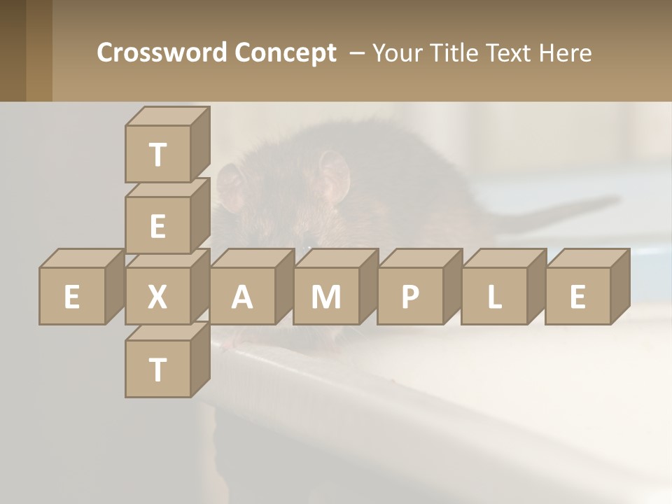 Small Man Park PowerPoint Template