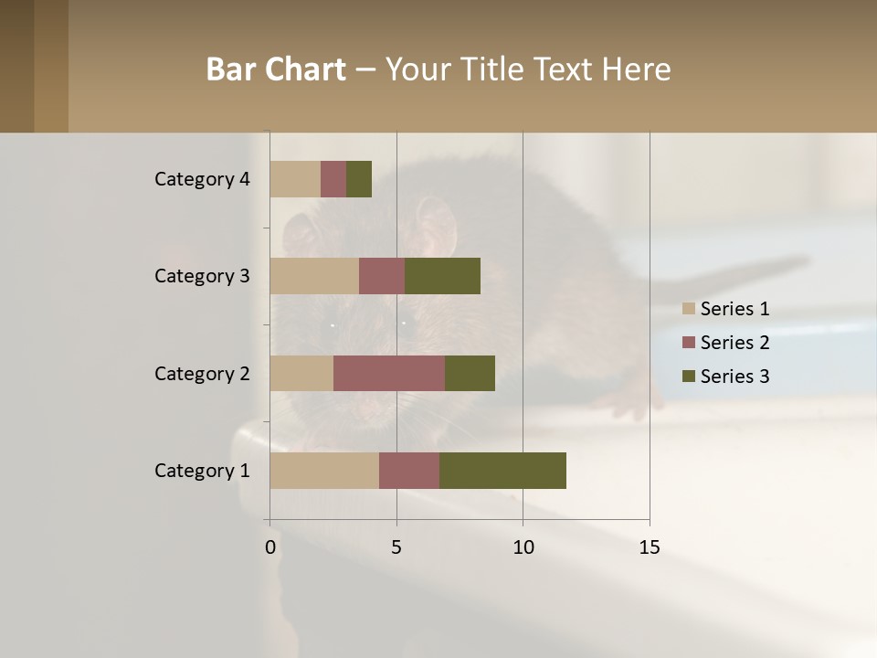 Small Man Park PowerPoint Template