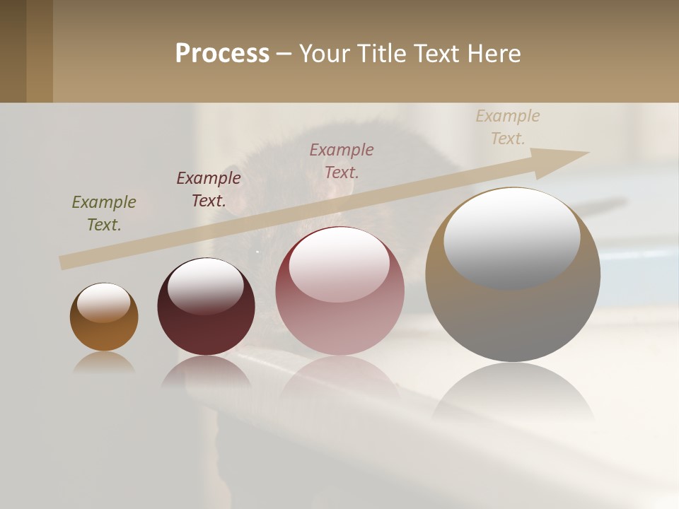 Small Man Park PowerPoint Template