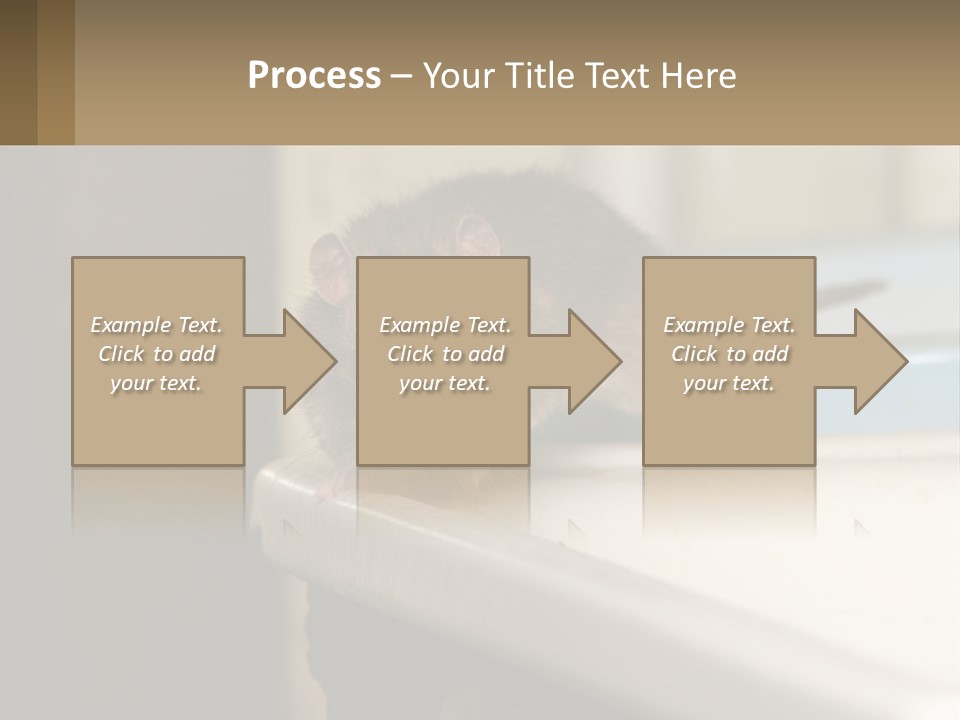 Small Man Park PowerPoint Template