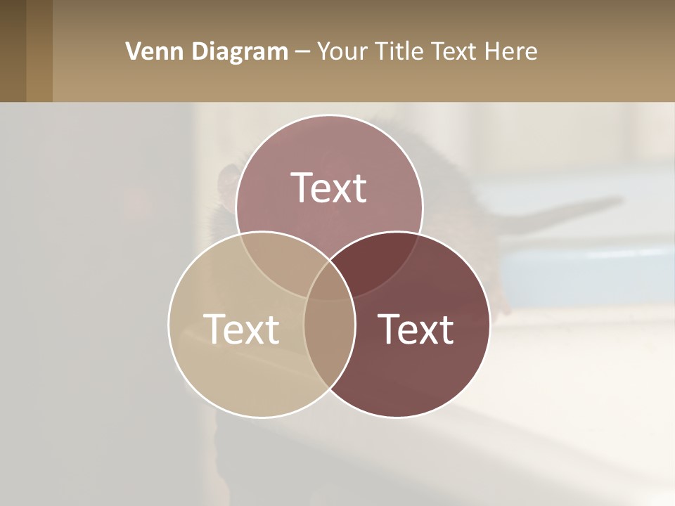 Small Man Park PowerPoint Template