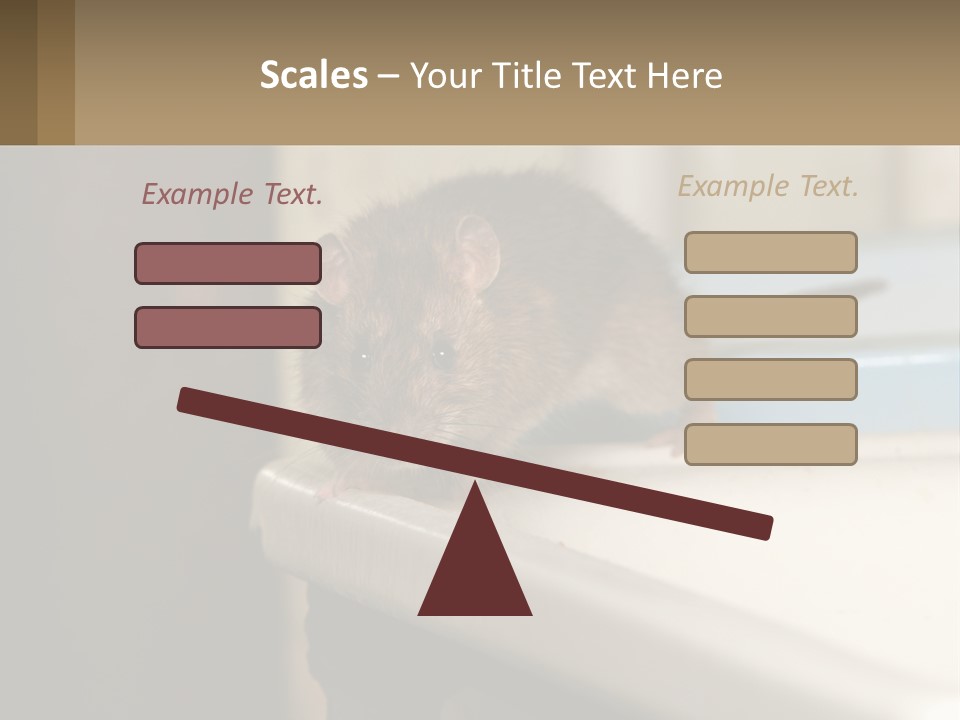 Small Man Park PowerPoint Template