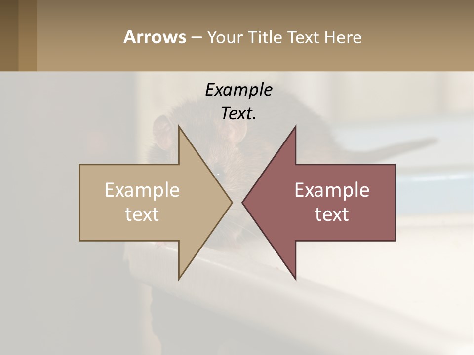 Small Man Park PowerPoint Template