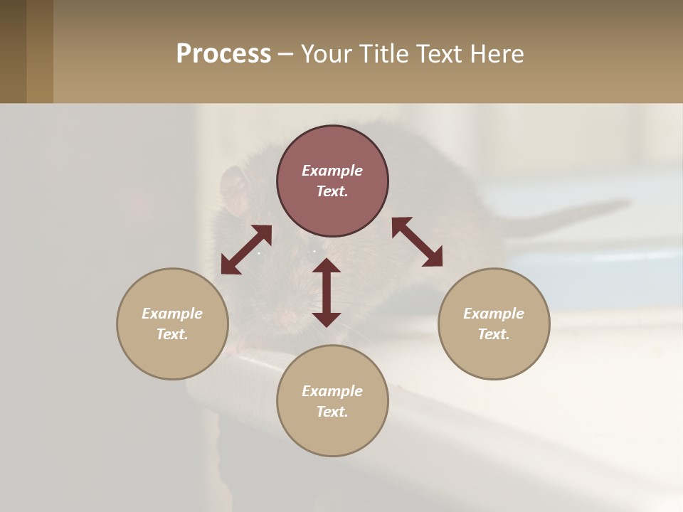 Small Man Park PowerPoint Template