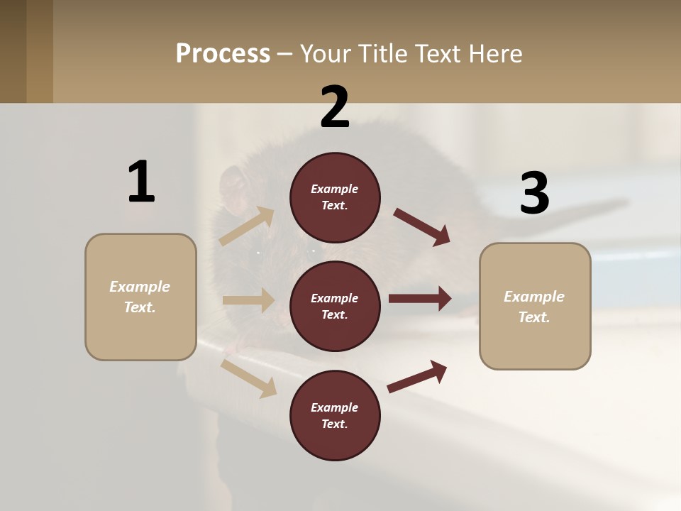 Small Man Park PowerPoint Template