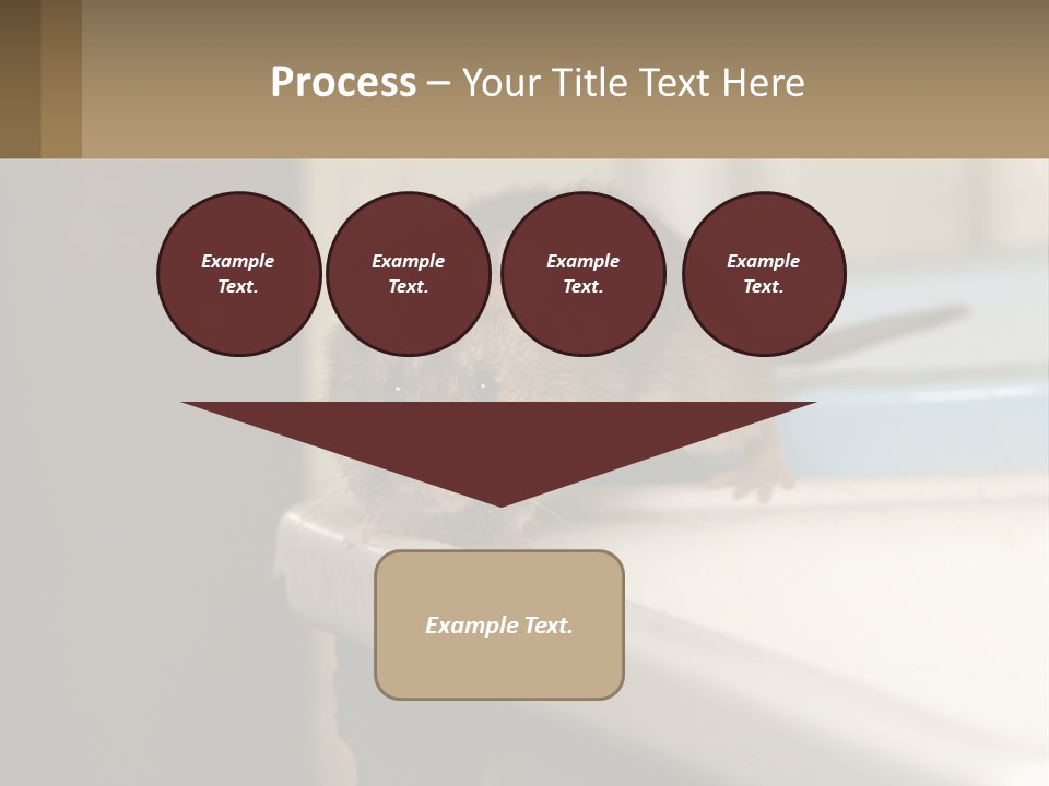 Small Man Park PowerPoint Template