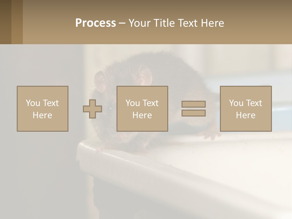 Small Man Park PowerPoint Template