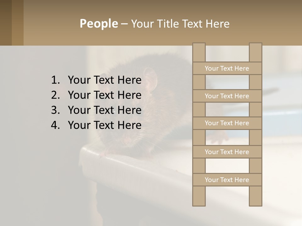Small Man Park PowerPoint Template
